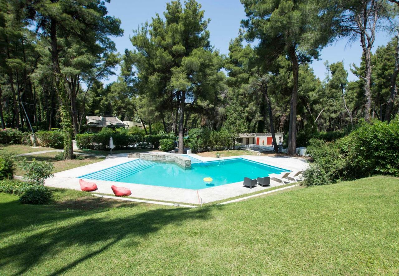 Villa Aurora In Sani With Garden And Pool Esterno foto